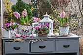 Spring cyclamen (Cyclamen coum), hyacinths (Hyacinthus), horned violets in planters and Easter eggs on an old chest of drawers