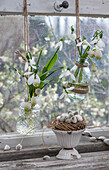 Grape hyacinth 'Withe Magic' (Muscari) and snowdrops (Galanthus) in hanging flower vases in front of window