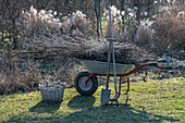 Gardening, branches on wheelbarrow, pruning trees
