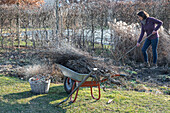 Woman gardening, branches on wheelbarrow, trimming trees