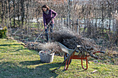 Woman gardening with wheelbarrow, trimming trees