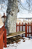 Wooden bench around tree trunk with red wooden fence and lantern in snowy garden