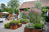 Gartenbereich mit Hochbeeten und Ziergräsern