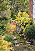 Trittstufen durch herbstlichen Garten