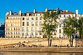 Frankreich,Paris,Weltkulturerbe der UNESCO,Saint Louis Island