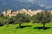 Frankreich,Corse du Sud,Region Alta Rocca,Sainte Lucie de Tallano