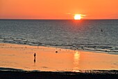 France,Normandy,Seine Maritime,Pays de Caux,Cote d'Albatre,Veules les Roses,The Most Beautiful Villages of France,the beach