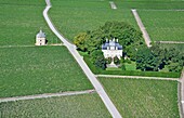 France,Gironde,Pauillac,Medoc region,chateau Latour where Premier Grand Cru wine is produced and chateau Pichon Longueville area in the background (aerial view)