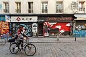 France,Paris,street art,graffitis and murals in Rue Denoyez