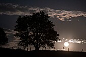 France,Lozere,Aubrac Regional Nature Park,landscape near Marchastel,moonrise