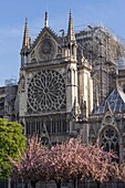 France,Paris,Notre Dame de Paris Cathedral,two days after the fire,April 17,2019