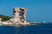 France,Haute Corse,Agriates desert,Gulf of Saint Florent,Mortella tower