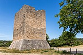 Frankreich,Var,Grüne Provence,Cotignac,einer der beiden Türme bleibt von der feudalen Burg übrig