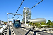 France,Gironde,Bordeaux,area listed as World Heritage by UNESCO,the City of Wine,designed by the architects of the XTU agency and the English scenography agency Casson Mann Limited