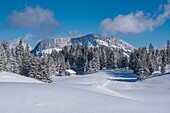 Frankreich,Haute Savoie,Bornes-Massiv,Plateau des Glieres,Langlaufloipe auf dem nordöstlichen Teil des Plateaus und Leschaux-Felsen