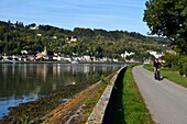 France,Seine-Maritime,the village of La Bouille in the norman Seine river meanders,cyclist on the veloroute