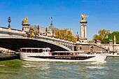 Frankreich,Paris,Gebiet, das von der UNESCO zum Weltkulturerbe erklärt wurde,Seineufer,Brücke Alexandre III