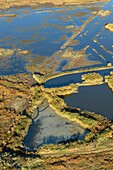 France,Morbihan,Sarzeau,aerial view of the Golfe of Morbihan,Saint-Colombier marshes