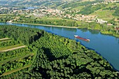 Frankreich,Isere,Chonas L'Amballan,Sensibles Naturgebiet von ??Gerbay,Die Rhone,Condrieu im Hintergrund (Luftaufnahme)