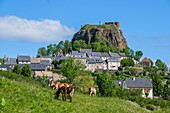 France,Cantal,Regional Natural Park of the Auvergne Volcanoes,monts du Cantal (Cantal mounts),vallee de Cheylade (Cheylade valley),Apchon,the village and the castle ruins located on top of a basaltic dyke
