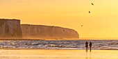 Frankreich,Somme,Ault,Sonnenuntergang auf den Klippen vom Strand von Ault,Spaziergänger und Fotografen kommen, um die Landschaft und Seevögel zu bewundern