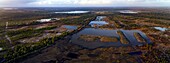 Frankreich,Landes,Arjuzanx,Auf dem Gelände eines ehemaligen Braunkohleabbaus entstanden, empfängt das Nationale Naturreservat von Arjuzanx jedes Jahr Zehntausende von Kranichen (Grus grus) zur Zeit der Überwinterung, Luftaufnahme