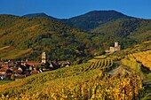 Frankreich,Haut Rhin,Route des Vins d'Alsace,Kaysersberg,der Weinberg und die Heilig-Kreuz-Kirche,Die Stadt liegt an der Mündung des Weiss-Tals in der Ebene des Elsass, am Eingang zu den Tälern von Lapoutroie und Orbey,Sie wird von zwei Bergen beherrscht, von denen einer von den Ruinen des Schlossbergs gekrönt wird