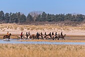 Frankreich,Somme,Baie de Somme,Naturreservat der Baie de Somme,Reiter in der Baie de Somme