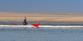 Frankreich,Somme,Baie de Somme,Le Hourdel,Indonesische Kanus und Kajaks bei Flut,die Boote warten auf die Strömung und die Gezeiten am Eingang der Bucht und fahren dann mit Hilfe der starken Strömung hinauf,manchmal in Begleitung von Seehunden,manche lassen ihr Boot auf den Sandbänken liegen, um die von der Flut vertriebenen Vögel zu beobachten