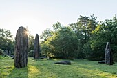 France,Morbihan,Monteneuf,the megalithic domain of the Straight stones at sunrise