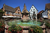 France,Haut Rhin,Route des Vins d'Alsace,Eguisheim,labeled the Most Beautiful Villages of France,Castle Square,the fountain topped by a statue of Pope Leon IX
