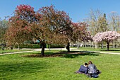 Frankreich,Meurthe et Moselle,Nancy,Parc de la Pepiniere (öffentlicher Garten der Pepiniere) neben dem Stanislas-Platz (ehemaliger königlicher Platz), der von Stanislas Leszczynski, König von Polen und letzter Herzog von Lothringen im 18. Jahrhundert erbaut wurde und zum Weltkulturerbe der UNESCO gehört