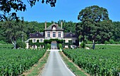 France,Cote d'Or,Burgundy climates listed as World Heritage by UNESCO,the domain of Ardhuy,Clos Langres