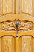 France,Meurthe et Moselle,Nancy,detail of an Art Nouveau door in Avenue Foch,house of chief inspector of rivers and forests Fernand Loppiret built in 1902 by architect Charles Desire Bourgon,sculpture by Auguste Vautrin,building listed as Ecole de Nancy (school of Nancy)
