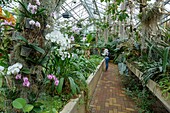 France,Meurthe et Moselle,Villers les Nancy,Jean Marie Pelt botanical garden,the green house