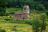 Frankreich,Bas Rhin,Ottrott,St.-Nikolaus-Kapelle von Niedermunster,Abtei Sainte Marie Niedermunster, 511 Meter über dem Meeresspiegel, am Fuße des Berges St.-Odile gelegen, wurde um 700 von St.-Odile gegründet, um Pilger aufzunehmen, die den Berg St.-Odile nicht erreichen konnten,Die Abtei steht seit 1846 unter Denkmalschutz