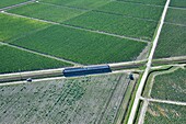 France,Gironde,train Medoc region,Pauillac (aerial view)