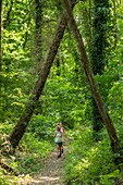 Frankreich,Morbihan,Pluméliau-Bieuzy,der Méandre-Wanderweg entlang des Kanals Nantes-Brest bis zum Dorf Saint-Nicolas-des-eaux