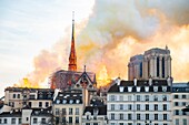 Frankreich,Paris,das von der UNESCO zum Weltkulturerbe erklärte Gebiet,Ile de la Cite,die Kathedrale Notre-Dame,der große Brand, der die Kathedrale am 15. April 2019 verwüstete