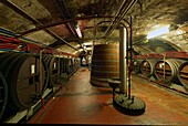 France,Seine Maritime,Pays de Caux,Alabaster Coast,Fecamp,the Gothic Revival and Neo-Renaissance Benedictine Palace,built in the late 19th century,is both the place of production of Benedictine liqueur and Museum,the cellar of the Benedictine herbal liquor
