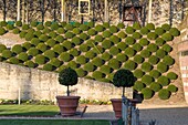 Frankreich,Indre et Loire,Loire-Tal,von der UNESCO zum Weltkulturerbe erklärt,Amboise,Schloss Amboise,Gärten des Schlosses von Amboise