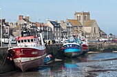France,Manche,Cotentin,Barfleur labelled The Most Beautiful Villages of France,Harbour,fishing boats with Saint Nicolas Church in the background