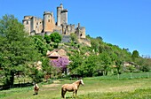 France,Lot et Garonne,Saint Front sur Lemance,Bonaguil Castle