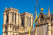 France,Paris,area listed as World Heritage by UNESCO,Ile de la Cite,Notre Dame de Paris,consolidation works after the fire of the roof