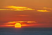 Frankreich,Pas de Calais,Opalküste,Grand Site der beiden Caps,Escalles,Cap Blanc nez,Sonnenuntergang über dem Meer von den Klippen des Cape Blanc Nez