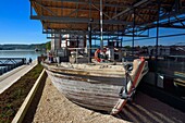 France,Seine-Maritime,Pays de Caux,Norman Seine River Meanders Regional Nature Park,Caudebec en Caux,MuseoSeine,Seine river Marine Museum,traditional boat the gribane used for lockdown