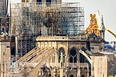 France,Paris,area listed as World heritage by UNESCO,Ile de la Cite,Notre Dame Cathedral,scaffolding,protection after the fire