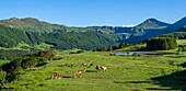 Frankreich,Cantal,Regionaler Naturpark der Vulkane der Auvergne,monts du Cantal (Cantal-Berge),vallee de Cheylade (Cheylade-Tal),in der Nähe des Dorfes Le Claux