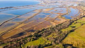 France,Var,Hyeres Islands,Port Cros National Park,Hyeres,Les Vieux Salins,Conservatoire du littoral (aerial view)