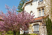 Frankreich,Meurthe et Moselle,Nancy,Jugendstilfassade in der Straße Brice im Viertel Parc de Saurupt